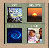 Art, Beauty, Order, Life